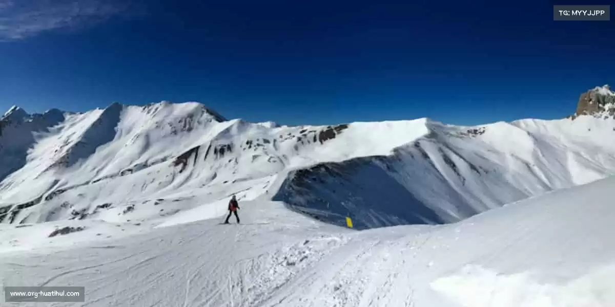 行业领先的理由